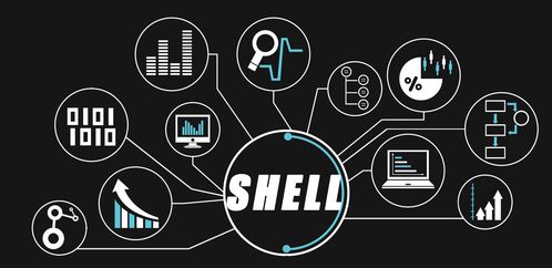 大數據開發工程師的進階之路 精通Shell特殊符號與高效技術服務